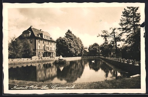Neustadt orla gamsenteich - am,