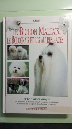 Bichon maltais le - maltais.,