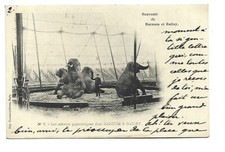 SPECTACLE  CIRQUE  LES