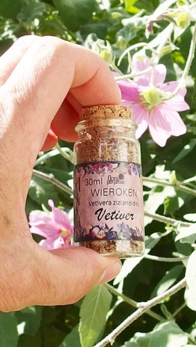 Encens spirituel vetiver - encens,