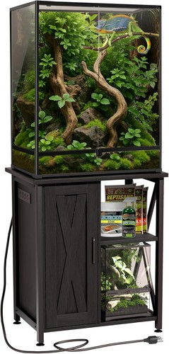 Terrarium stand gallon with - gallon,