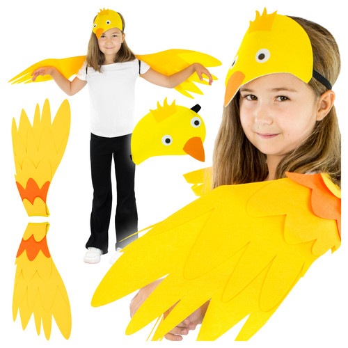 Costume enfant oiseau ailes - enfant, oiseau: