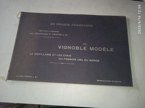 Frapin vignoble modèle - frapin., un