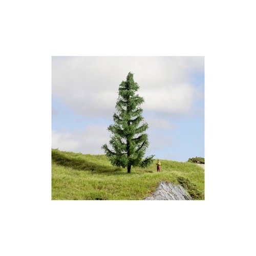 Noch 20193 arbre épicéa - noch,