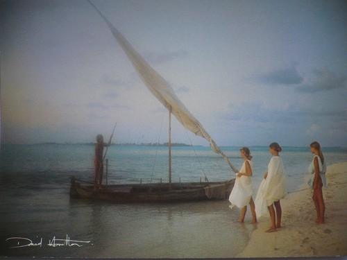 Carte postale david hamilton - carte,
