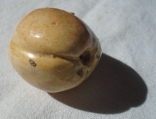 ANCIEN FRUIT FAIENCE BARBOTINE ONNAING EMAIL ? PECHE DECORATION TROMPE L'OEIL