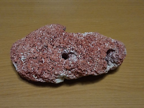 Très beau corail rouge