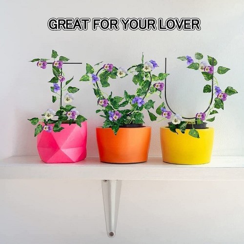6pcs plantes jardin - 6pcs, de