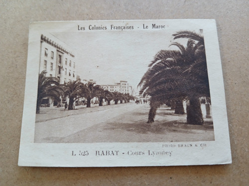 Image vache qui - rit, "les