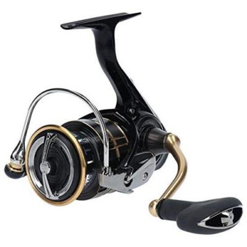 2019 new daiwa ballistic - daiwa,