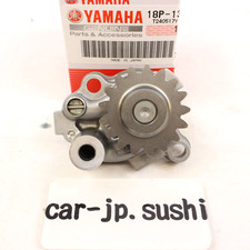 Ensemble pompe à huile Yamaha