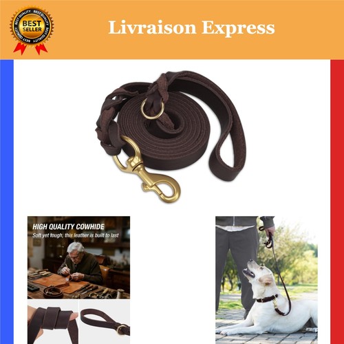 Joytale laisse chien cuir - chien,