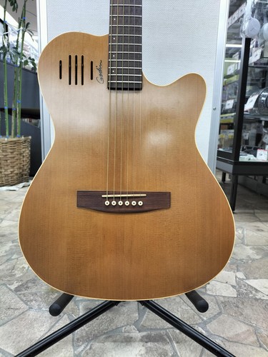 Guitare acoustique électrique