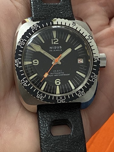 Montre nisus de - nisus,
