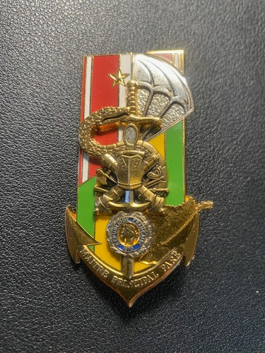 Insigne santé eppa - insigne,