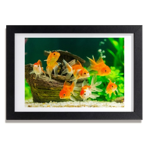 Tulup photo cadre - photo, le