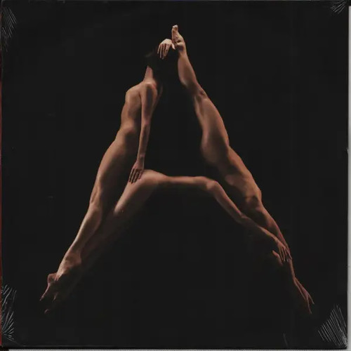 Gotan project rayuela - project, vinyle