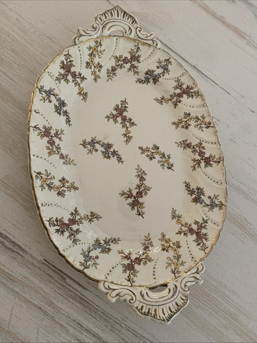 Superbe grand plat - plat, ovale