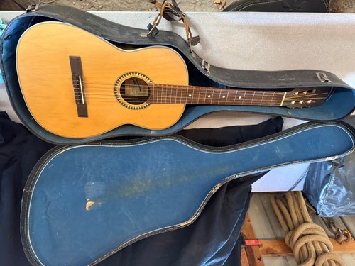 Giannini turuna guitar - giannini,
