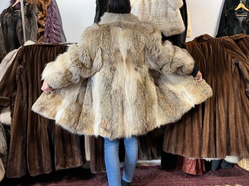 Manteau fourrure coyote - manteau,