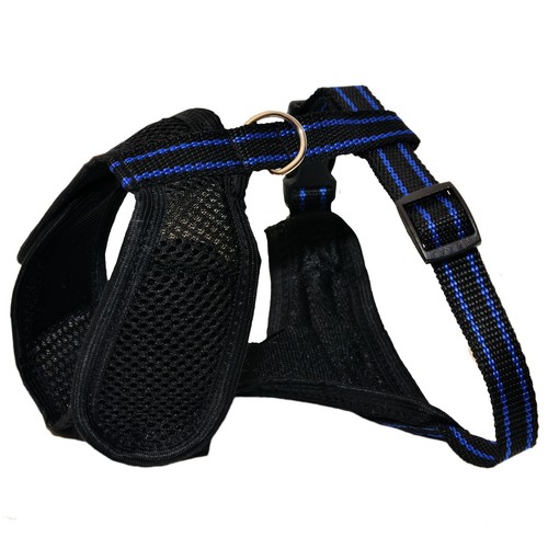 Noir chien chiot animal - noir,
