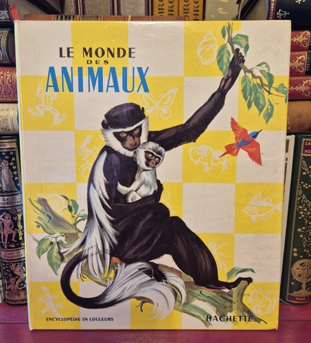 Monde des animaux - animaux,