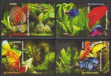 Roumanie 2005 Tropical Poisson Nature Poisson rouge Eau douce Discus