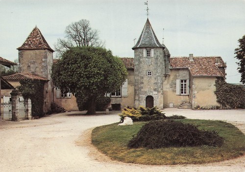 Champagne vigny chateau - 16,