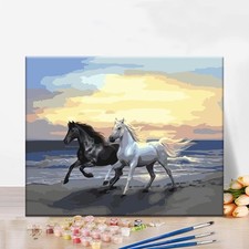 Peinture par Numero Adulte, DIY Peinture Numéro Adulte, Peinture pour Enfants, 