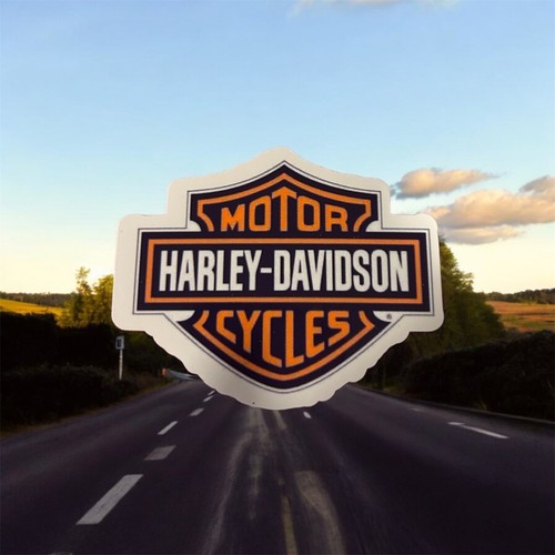 Harley davidson handmade - davidson,