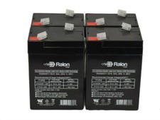 Raion 6V 4.5Ah Replacement