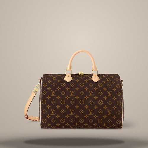 Louis vuitton sac - louis,