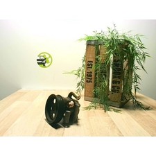 POMPE DIRECTION ASSISTÉE FORD FIESTA 5 (JD/JH) HATCHBACK 1.3 (BAJA) 2004 396468