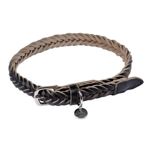 Collier pour chien - chien, réglable