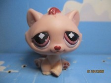 Petshop chat gouttiere - gouttiere, sans