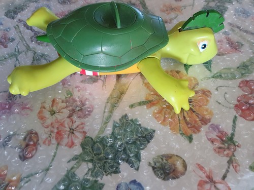 Tortue nageuse tomie - nageuse, tomy