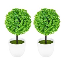  Wakauto 2PCS Mini plantes