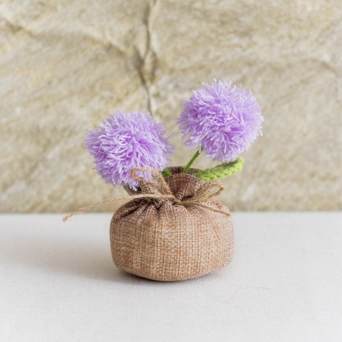Plante pour pot fleurs - plante,