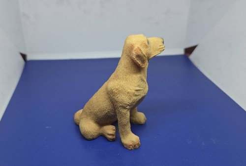 Collection atlas chien - , (2)