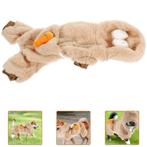 Tenue chien manteau - chien,