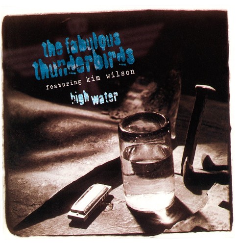 The fabulous thunderbirds - the,