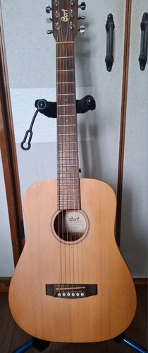 Guitare acoustique cort - guitare, earth