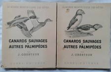Canards sauvages et autres