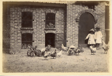 France, Bretagne, la basse