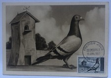 CARTE MAXIMUM 1er JOUR