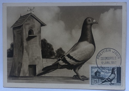 Carte maximum 1er - carte, jour