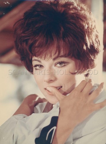 Marilu tolo casse tete - marilu,