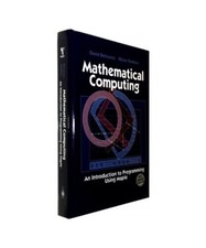 Mathematical Computing: An
