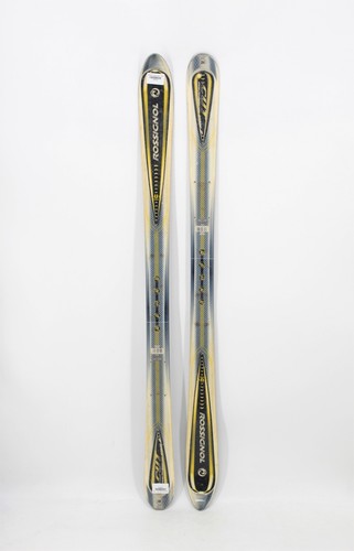 Rossignol cut stage - cut, adult