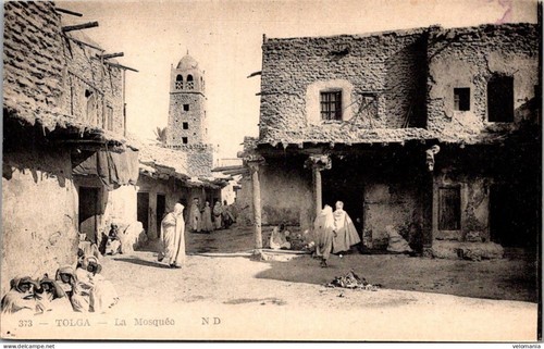 17165 cpa algérie tolga - algérie,